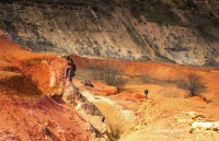 /album/fotogaleria/img-0495-masolata-jpg/